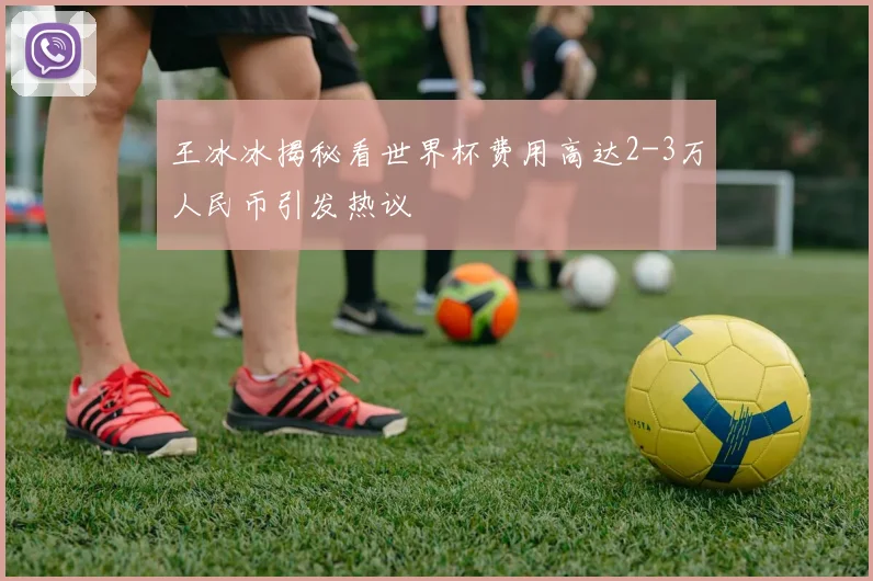 王冰冰揭秘看世界杯费用高达2-3万人民币引发热议